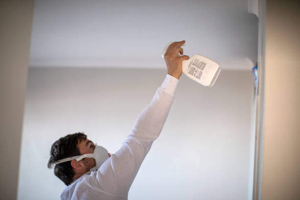 Best Attic Mold Remediation in Maggie Valley, NC