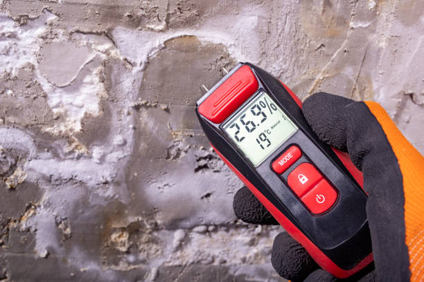 Professional Mold Remediation in Maggie Valley, NC
