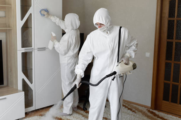 Best Post-Flood Mold Remediation in Maggie Valley, NC